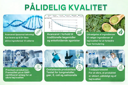 Officiel Butik |💝 Evolvion® Moringa · Berberin × NAD⁺ 10-i-1 Avanceret Nano Microneedle-plaster(Kun én gang dagligt – synlige forandringer på 7 dage)✅ Til fedme, løs hud, diabetes, søvnapnø, ledproblemer og meget mere