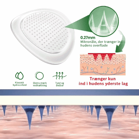 Officiel Butik |💝 Evolvion® Moringa · Berberin × NAD⁺ 10-i-1 Avanceret Nano Microneedle-plaster(Kun én gang dagligt – synlige forandringer på 7 dage)✅ Til fedme, løs hud, diabetes, søvnapnø, ledproblemer og meget mere