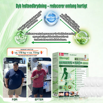Officiel Butik |💝 Evolvion® Moringa · Berberin × NAD⁺ 10-i-1 Avanceret Nano Microneedle-plaster(Kun én gang dagligt – synlige forandringer på 7 dage)✅ Til fedme, løs hud, diabetes, søvnapnø, ledproblemer og meget mere